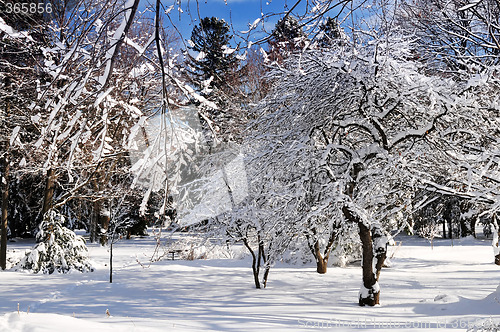 Image of Winter park