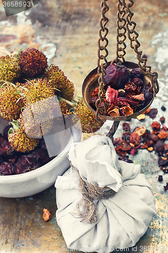 Image of Harvesting medicine herbs