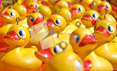 Image of rubber ducky you are the one