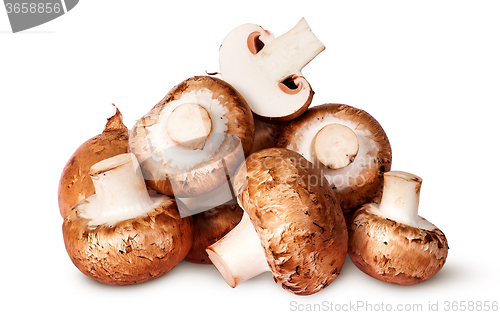 Image of Big pile of fresh brown champignon