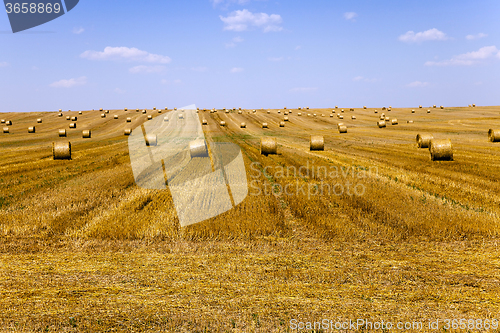 Image of haystacks straw . summer