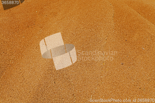 Image of grain wheat .   heap 