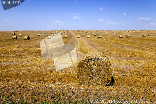 Image of haystacks straw . summer