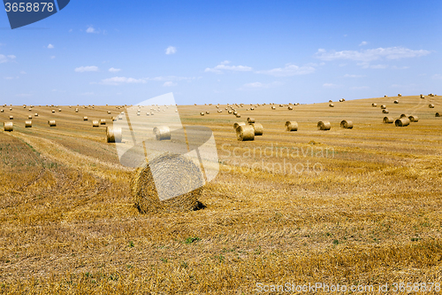 Image of haystacks straw  . summer