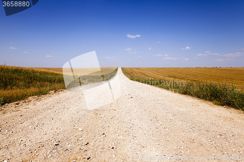 Image of   road  in  spring 