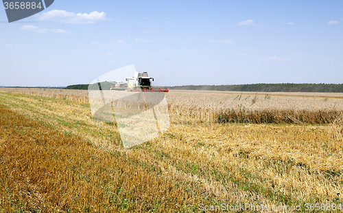 Image of Harvester in the field 