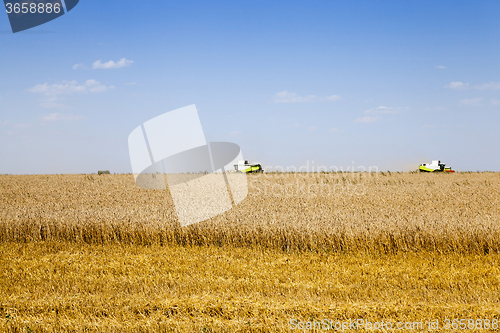 Image of  Harvester in the field