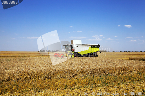 Image of    harvest of cereals