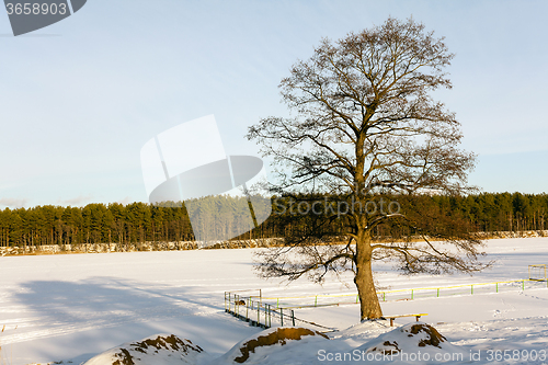 Image of   lake in winter 