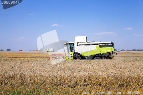 Image of Harvester in the field  