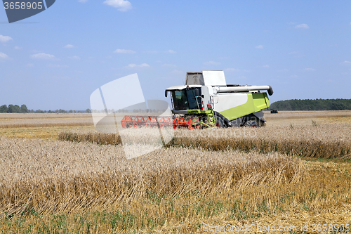 Image of Harvester in the field 