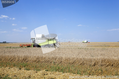 Image of Harvester in the field  