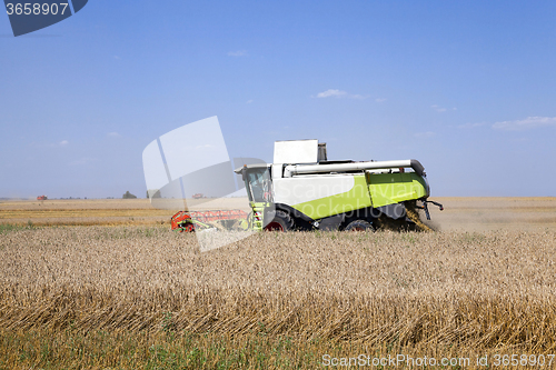 Image of Harvester in the field 