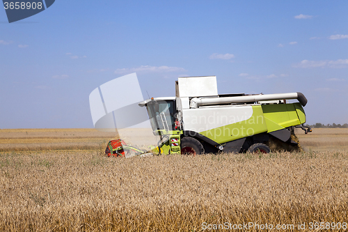 Image of Harvester in the field 