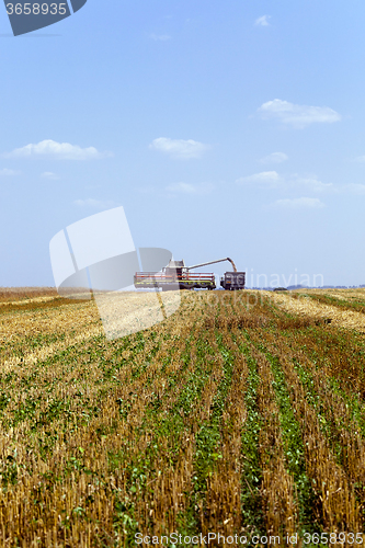 Image of Harvester in the field  