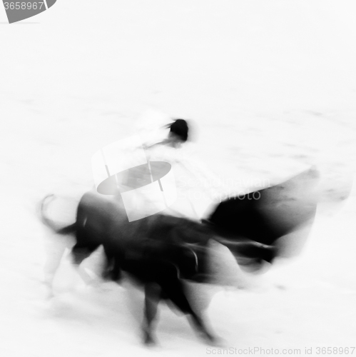 Image of Bullfigting in bullring Las Ventas, Madrid, Spain.