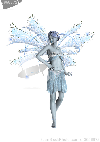 Image of Snow Fairy on White