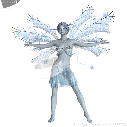 Image of Snow Fairy on White