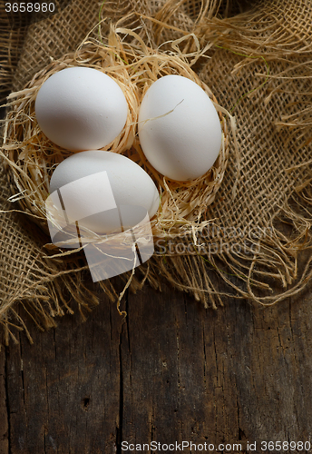 Image of eggs at hay nest in chicken farm