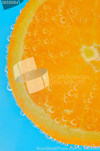 Image of Fresh orange slice 