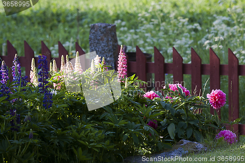 Image of flower bed