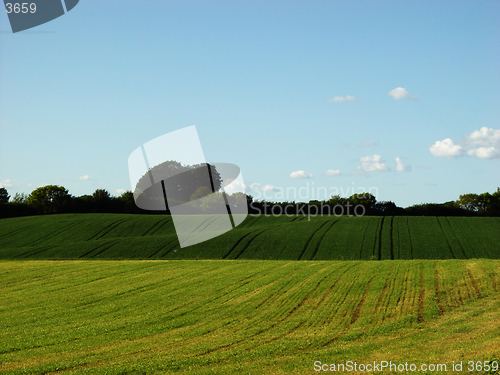 Image of rolling field