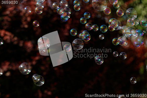 Image of Soap bubbles