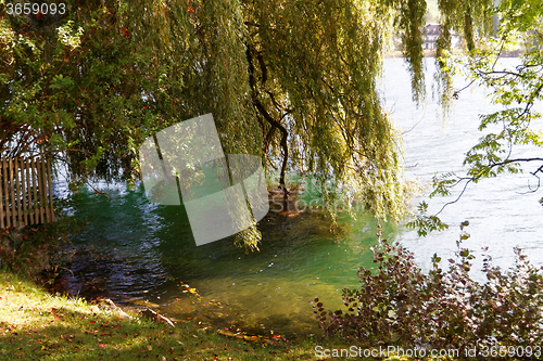 Image of Lake in the park