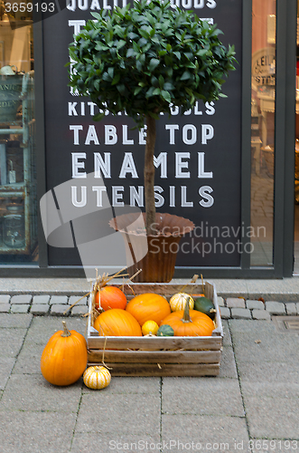 Image of a basket full of pumkins on the street