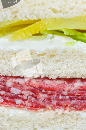 Image of carpaccio raw meat sandwich