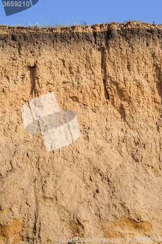 Image of Cut of soil layers visible and grass on top