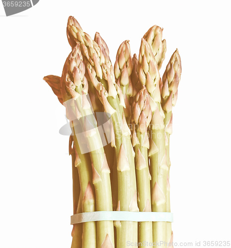 Image of Retro looking Asparagus
