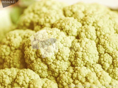 Image of Retro looking Cauliflower
