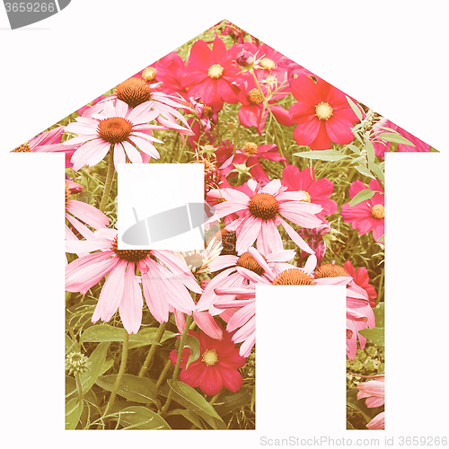 Image of Flower house