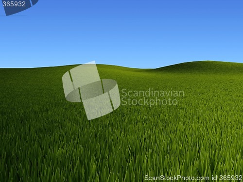 Image of grass fields