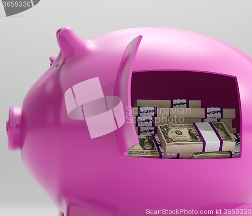 Image of Notes In Piggy Shows Savings And Investment