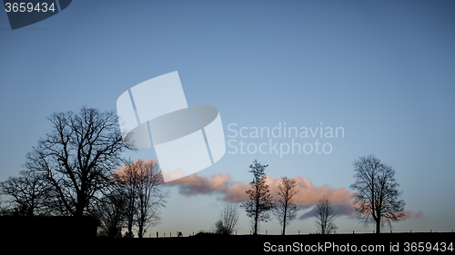 Image of red cloud