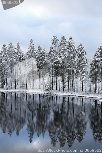 Image of Blue Winter Lake Reflections