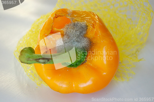 Image of decay,rotten pepper