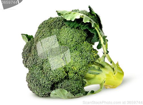 Image of Big broccoli florets with leaves rotated