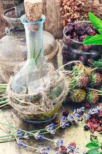 Image of Still life with harvest medicinal herbs