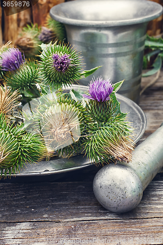 Image of Still life with harvest medicinal herbs