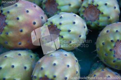 Image of Several fruits of prickly pear