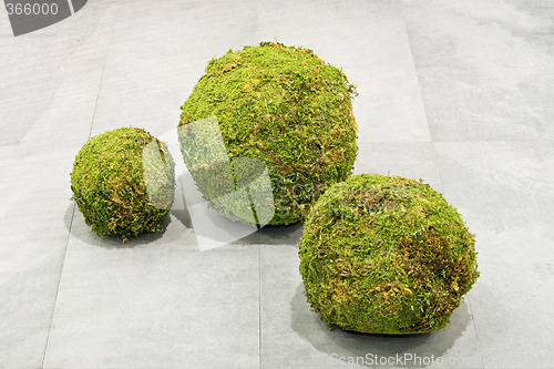 Image of Grass balls