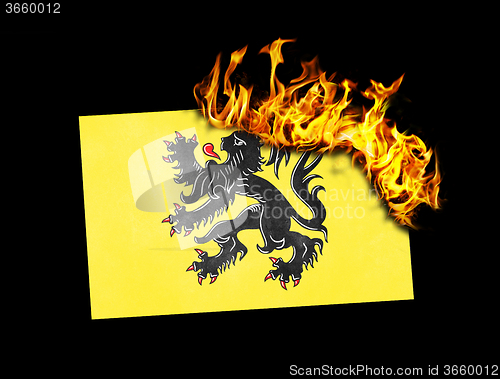 Image of Flag burning - Flanders