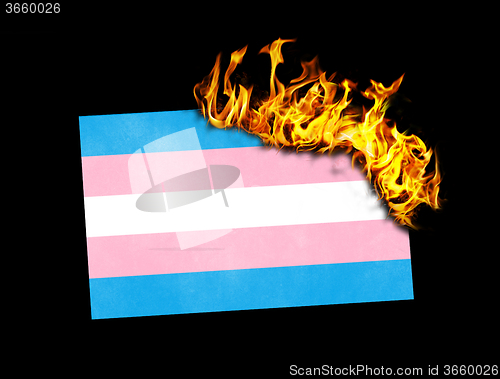 Image of Flag burning - Trans Pride