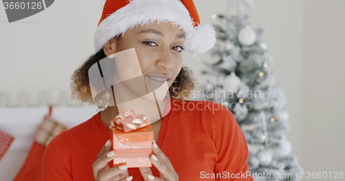 Image of Smiling attractive woman holding a Christmas gift