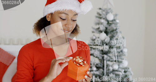 Image of Lovely young woman holding a Christmas gift