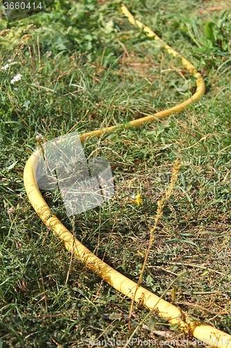 Image of Plastic watering hose in the grass