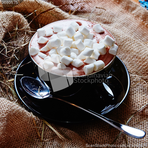 Image of Cup of cocoa with marshmallows